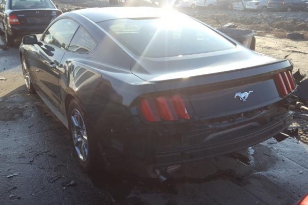 фото Ford Mustang