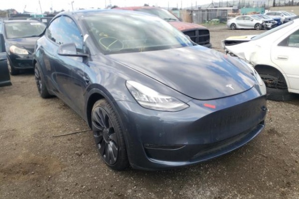 фото Tesla MODEL Y