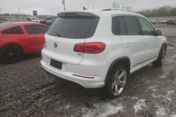 фото Volkswagen TIGUAN