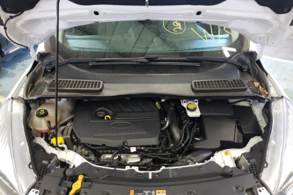 фото Ford Escape SE