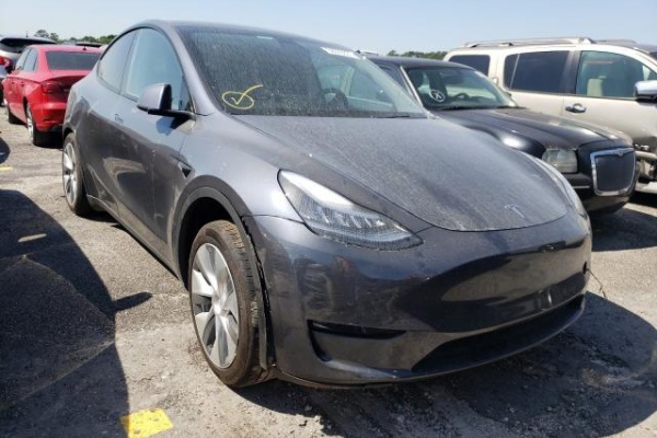 фото Tesla MODEL Y