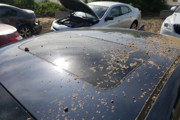 фото Kia FORTE EX