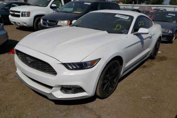 фото Ford Mustang