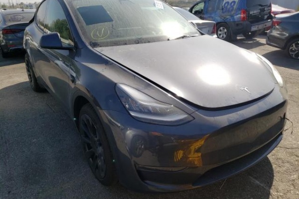 фото Tesla MODEL Y