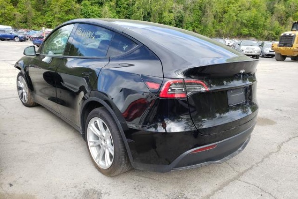 фото Tesla MODEL Y