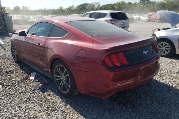 фото Ford Mustang
