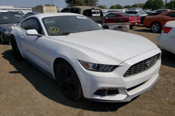 фото Ford Mustang