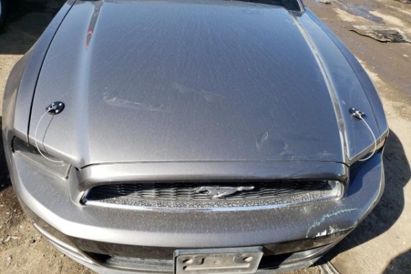 фото Ford Mustang