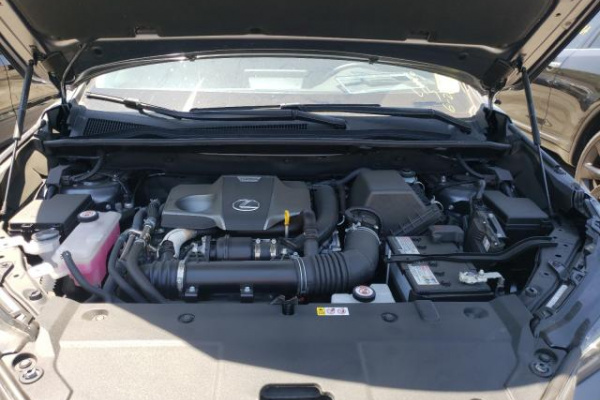 фото LEXUS NX 300