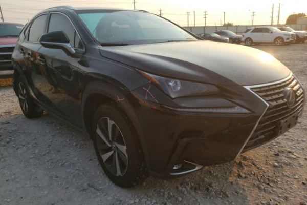 фото LEXUS NX 300 BASE