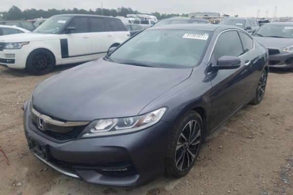 фото Honda Accord EX