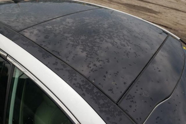 фото Kia OPTIMA EX