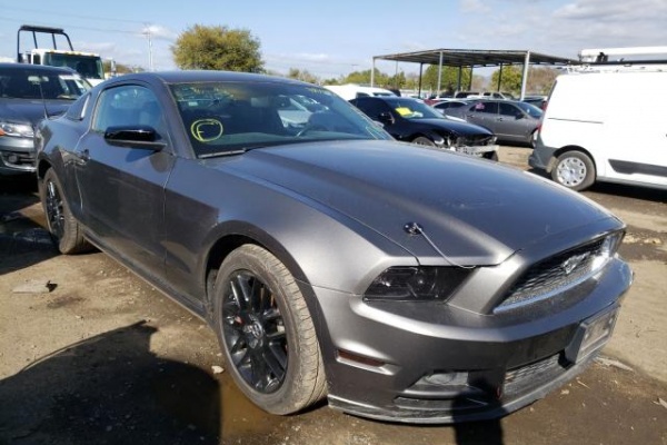 фото Ford Mustang